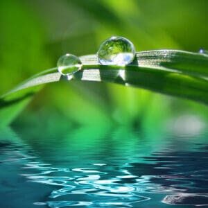 Green,Background,With,Grass green background with grass