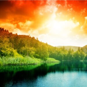 Learning to Live from the Awakened Heart Learning to Live from the Awakened Heart